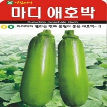 AR 마디 애호박 맛과 품질이 좋은 애호박 씨앗