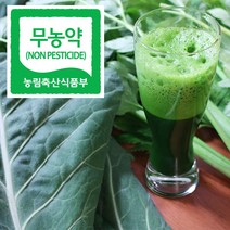 직거래농민장터 무농약 케일 신선초 친환경 녹즙용, 1box, 무농약 케일 4봉지(총2.2kg)
