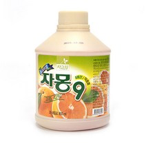 차그림 프리미엄 자몽9 ( 860ml )