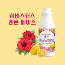 진한 천연 과일 농축액 카페 음료 베이스 착즙 주스 홈카페 매장용 칵테일 레시피 원액 시럽 에이드 과즙 수제청 드레싱 소스 1kg, 히비스커스 레몬 베이스 (액상)
