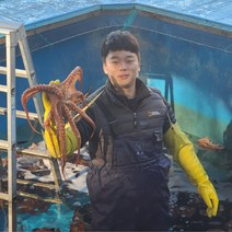 통수산 제철 자연산 통영 돌문어, 돌문어2kg(1~5마리랜덤)