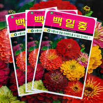 백일홍꽃씨앗 야생화종자200립