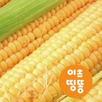 강원도 괴산 장연 냉동 찰옥수수 15개입 30개입, 30개