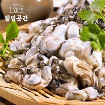 웰빙곳간 통영 청정해역 당일조업 산지직송 햇 생굴 2kg