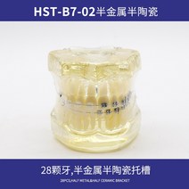 모델 관리 교구재 입모형 교보재 잇몸 치위생 강의 수업 강의용 임플란트 치아모형 구조, 반금속반세라믹B7-02(28개입)