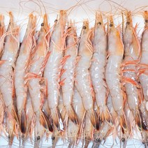 맛수러움 안면도 자연산 대하 왕새우 1kg, 1개, 손질 자연산 암대하 200g*4팩