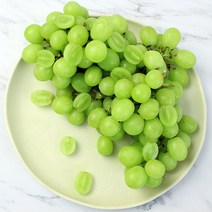 수입포도 씨없는 시들리스 청포도 1kg/2개 주문시 3kg발송