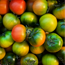 당일배송 산지직송 부산 대저농협 짭짤이 대저 토마토 (총 2.5kg) 특상 A+급 엄선 프리미엄 로얄과, M