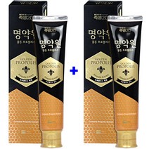 (더싼유통) 죽염 명약원 골든 프로폴리스 치약 120g (5일 사용후 달라지는 잇몸건강), 2개