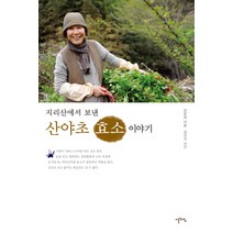 지리산에서 보낸 산야초 효소 이야기, 이른아침, 전문희