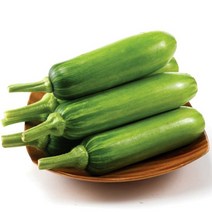 [농협] 애호박 5개(1.5kg내외), 5개