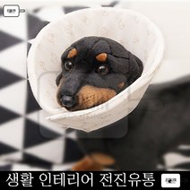 반려견넥카라 반려견 강아지용품 웨스티 카라 S 비숑프리제 애견병원 펫용품 푸들