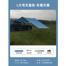 Nipson 자동차 캐노피 텐트 방수 선 스크린 야외 천막 사이드 pergola SUV 자동차 후면 페인트 실버 캐노피, [대하늘색] 440200cm