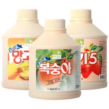 차그림 과일 주스 원액 850ml 과일 농축액, 바나나 850ml