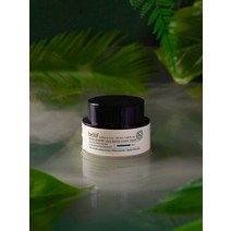 빌리프 뷰티 정품 스트레스 슈터-시카 밤 크림 50 mL P447706