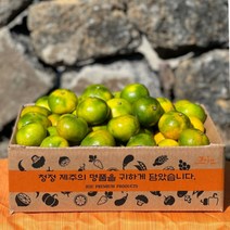 신씨곳간 제주 하우스 밀감 효돈감귤 로얄과, 4.5kg (40~55과), 1개