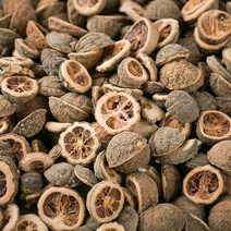 국산 지실(어린탱자) 600gX2 애지실 열매 차 건조 말린 한방 국내산, 1200g, 13YI_국산지실600gX2