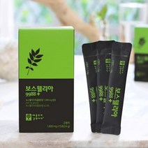 애플트리김약사네 보스웰리아 분말 보스웰릭산 스틱 관절 9988 산수유 오자 치커리뿌리 가시오가피, 1box, 1600mg