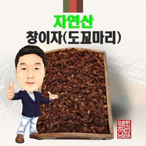 100% 자연산 창이자(도꼬마리) 300g/100g 야생 국내산 국산, 300g