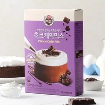 CJ제일제당 홈베이킹 백설 초코케익믹스 아이들간식 아이들간식 쿠키 와플 식빵 만들기 350g, 1세트