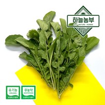 하늘농부 친환경 루꼴라 100g