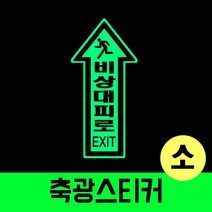 [YT_ON]바닥용 화살표 축광스티커 (소)[YT0516]