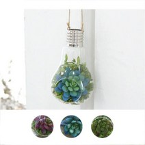 보드미 인테리어 벽 장식 소품 장식품 (플라워전구모형), 단품