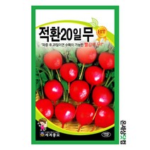적환20일무 1000립 / 무씨앗 무우씨 이색무 베란다텃밭, 1개