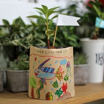 파라솔-그림봉투화분 봉선화, ▶Arianycos◀ 파라솔-그림봉투화분 봉선화, ▶Arianycos◀