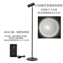 인테리어조화 LED 식물등 집에서할수있는취미 조명등 식물영양 식물 새싹삼 화훼단지 전구 음지식물 식물재배기 다육이키우는법, 풀 스펙트럼 4000k-20와트(2.1m)+타이밍