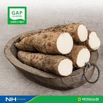 [북안동농협] GAP 국내산 (안동마 산약마 산마 참마), 1box, 실속형3KG