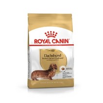 독 닥스훈트 어덜트 1.5kg, 상세페이지 참조, 상세페이지 참조, 상세페이지 참조