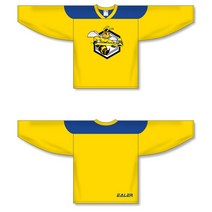 아이스하키 장비 용품 무료 빈티지 아이스 하키 훈련 유니폼 세트 인쇄 말벌 로고 스팟 저렴한 H610, 02 jersey_09 L/ XL