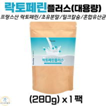 락토페린 분말 초유 단백질 유산균 장건강 어린이 성인 분유 대용량 락토페린분말, 1팩, 락토패린 280g