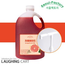 서울팩토리 자몽 에이드 1.5L + 흘림방지 전용 펌프