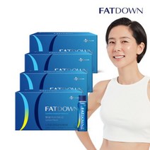 [ 체지방 저격수 ]팻다운 부스터 카르니틴 4박스/8주분, 없음