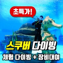 [50% 이벤트] [서울] PADI 수영장/바다 체험다이빙 스쿠버다이빙, 수영장 체험 다이빙