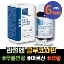 관절케어 관절영양제 재생 오십견 여자 식이유황 왼쪽어깨 통증 임신축하선물 아동 남녀 홈쇼핑 온가족 주니어 어린이집선생님선물 MSM 관절에좋은 엠에스엠 유황 아세틸글루코사민