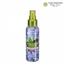 이브로쉐 라벤더 블랙베리 퍼퓸 미스트 100ml, 단품