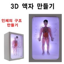 인체의 구조 3D 액자 만들기, 단품