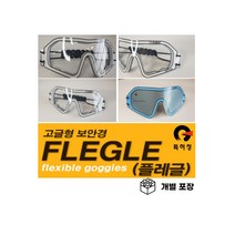 [당일출고]플레글(FLEGLE) 고글형 휴대용 보호안경 먼지/방진/방역/긁힘/김서림방지 개별포장, 10개