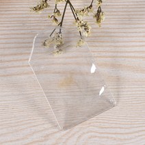 투명 pvc 악세사리 포장 보관 백 6x5cm 100P DD-11917 봉투 케이스 비닐팩 쥬얼리, 단품