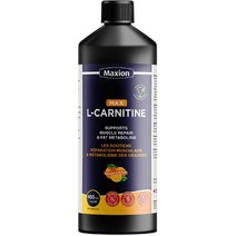 아미노산 엘카르니틴 1500mg 비타민 B5 450mL, 오렌지 맛 - 450mL