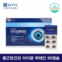 아이 루테인 눈에좋은 영양제 20대 성인 청소년 루테인 눈영양제, 왱이몰 90캡슐 1통