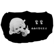 묘비석 강아지 수의보 비석 강아지 수목장 유물보관