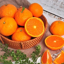 제주직송! 고당도 카라향(귤로향) 1kg/2kg 소과/중과/대과, 2kg 대과(8~13과)