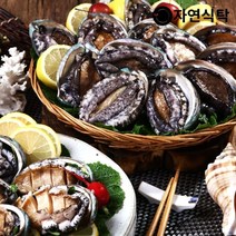 [자연식탁] 산지직송 완도 활전복1kg(25~30미), 1개