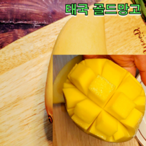 태국 남독마이 골드망고 2.5kg 5kg 골드 망고 골드 무지개 망고 태국 망고 선물세트