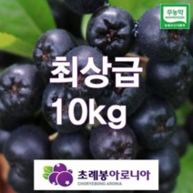 유기농 자연초생재배 초례봉아로니아냉동생과 최상급 10kg / 농장 직배송