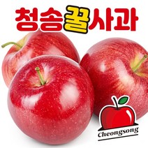 부사사과경북청송5kg 인기 상품 추천 목록